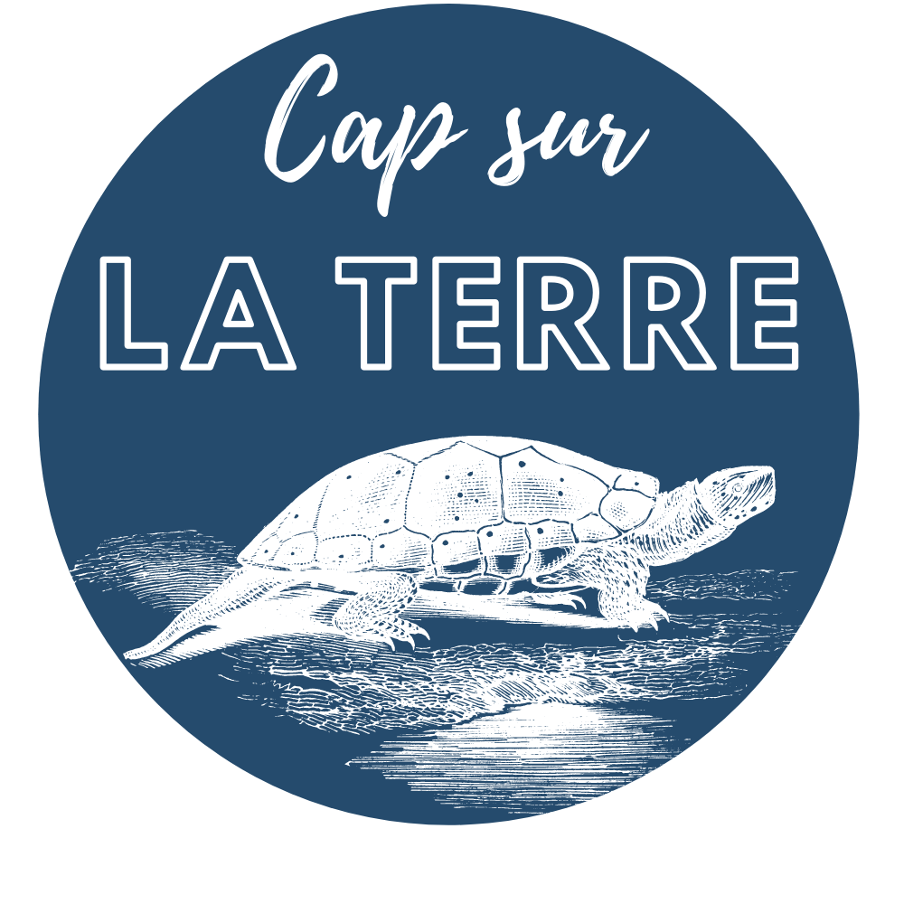 Cap sur la Terre