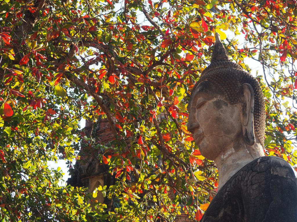 temple ayutthaya