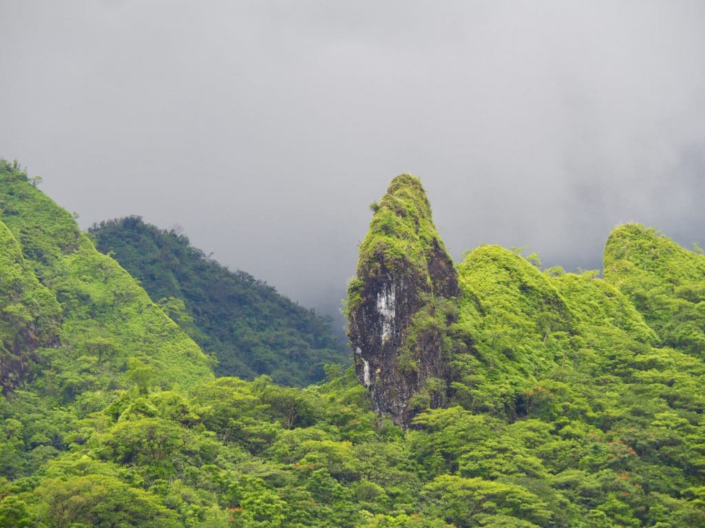 Découvrez la montagne polynésienne.