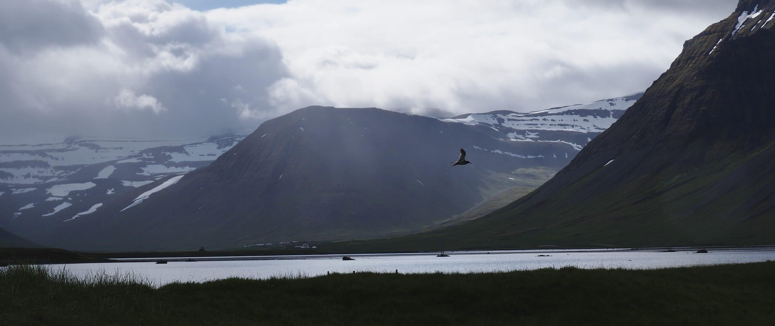 Fjords islande