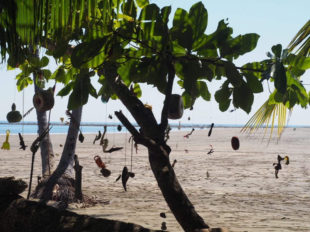 parc marino Ballena Costa Rica