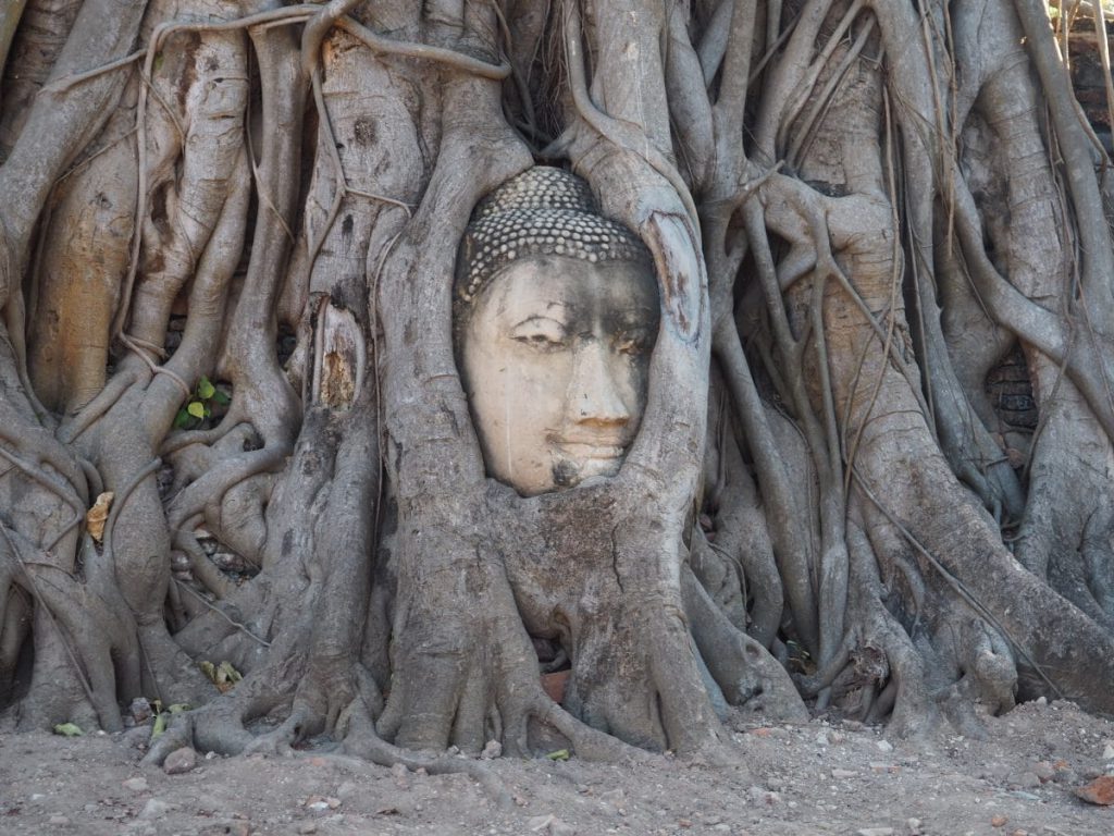 ayutthaya