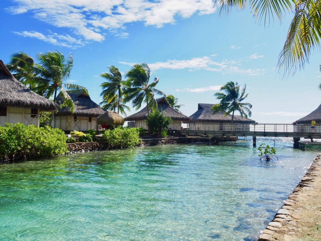 Le bassin de la clinique des tortues à Moorea