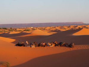 Désert marocain en famille