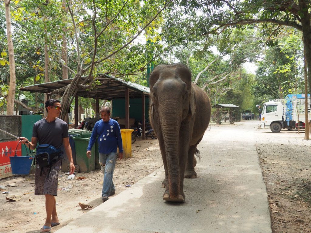 WFFT en Thaïlande