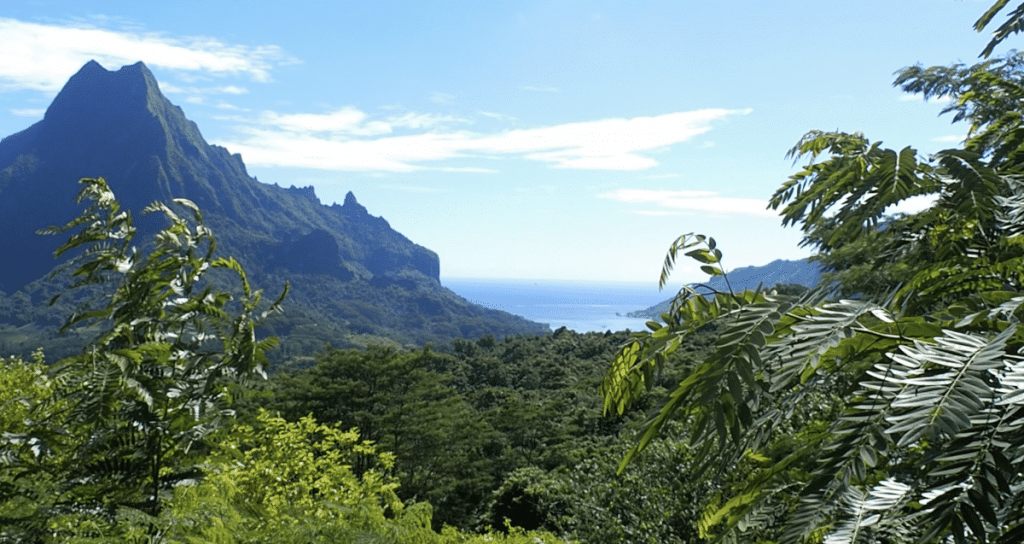 La montagne à Moorea.