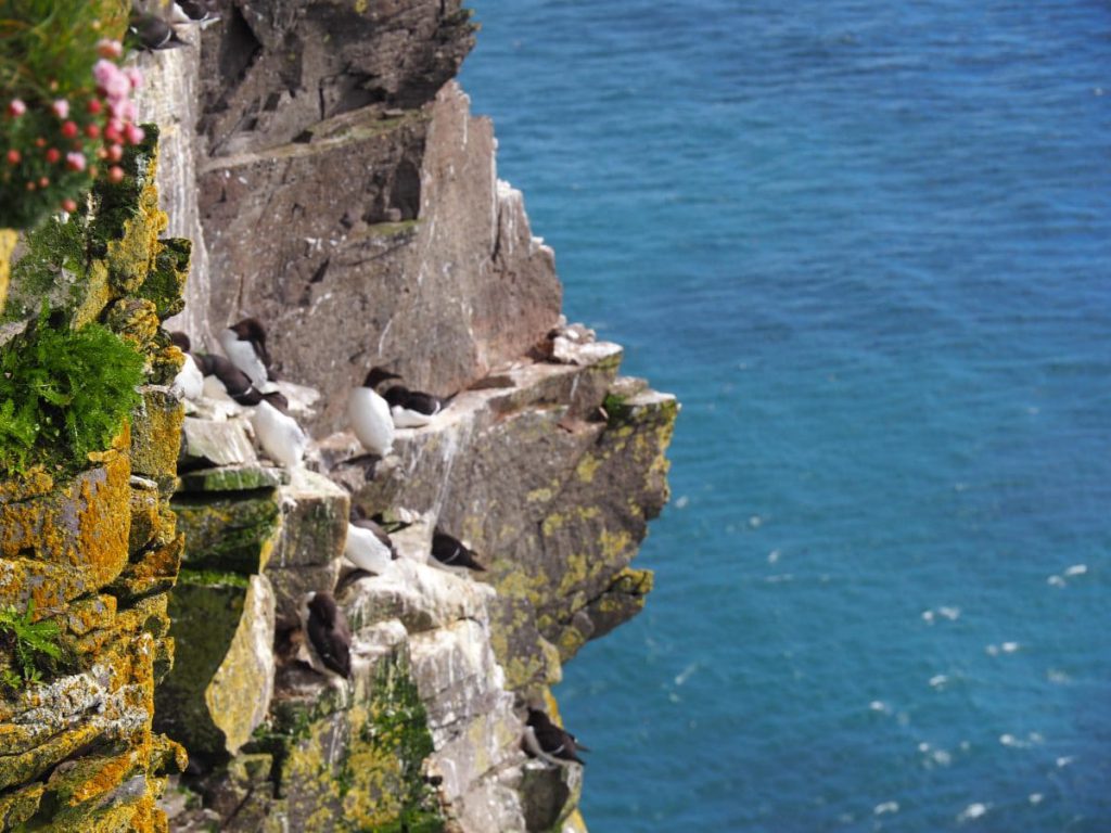 Falaises de Latrajbarg