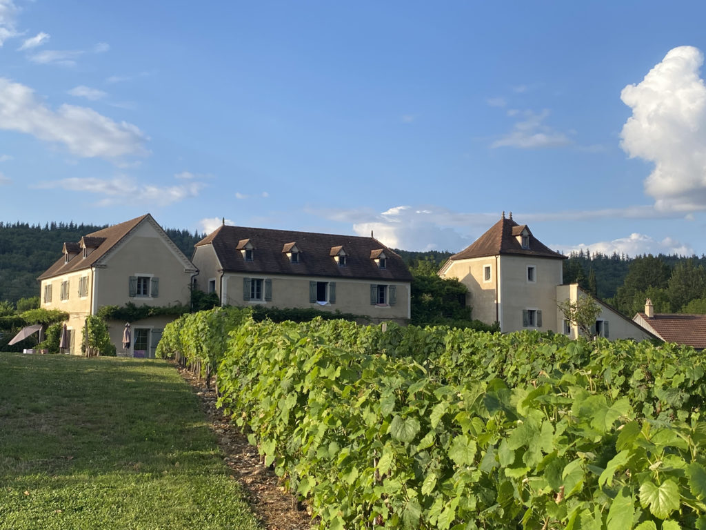 L'hôtel SPA le Saint-Cirq et ses vignes