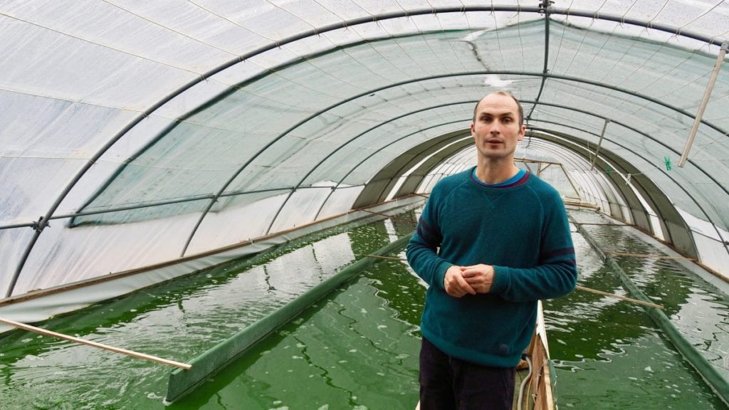 ferme à spiruline