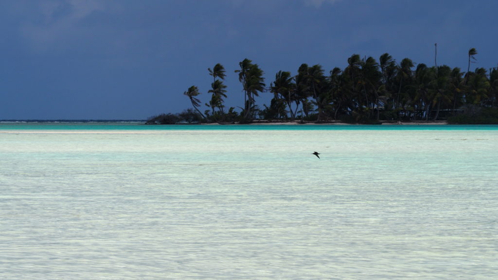 Paysage polynésien