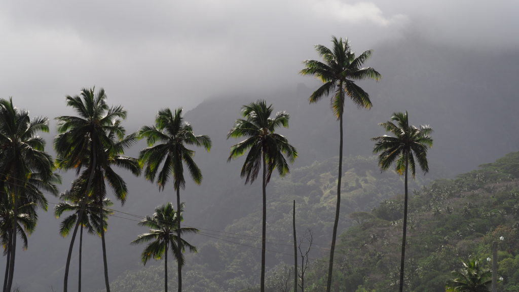 Végétation luxuriante à Hiva Oa