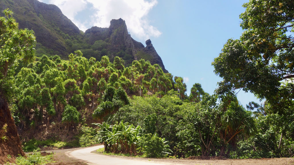 Forêt tropicale humide d'Hiva Oa