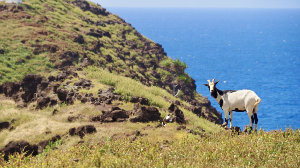 Rencontre à Hiva Oa
