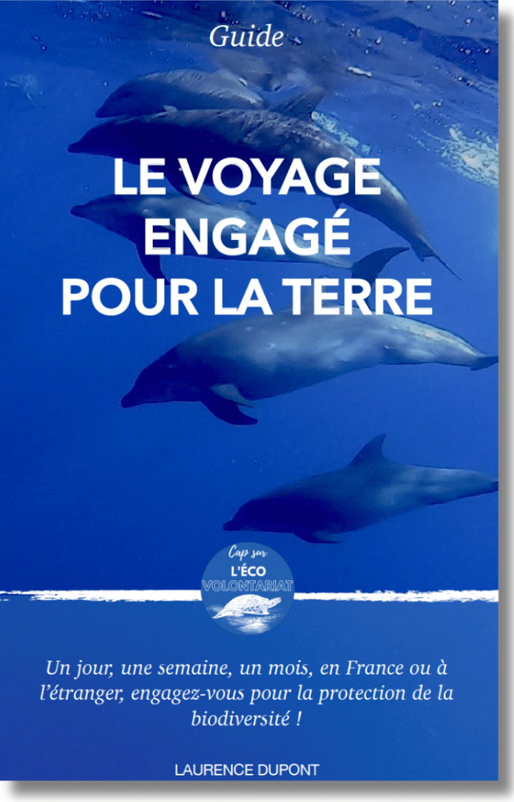 Guide voyage engagé pour la terre